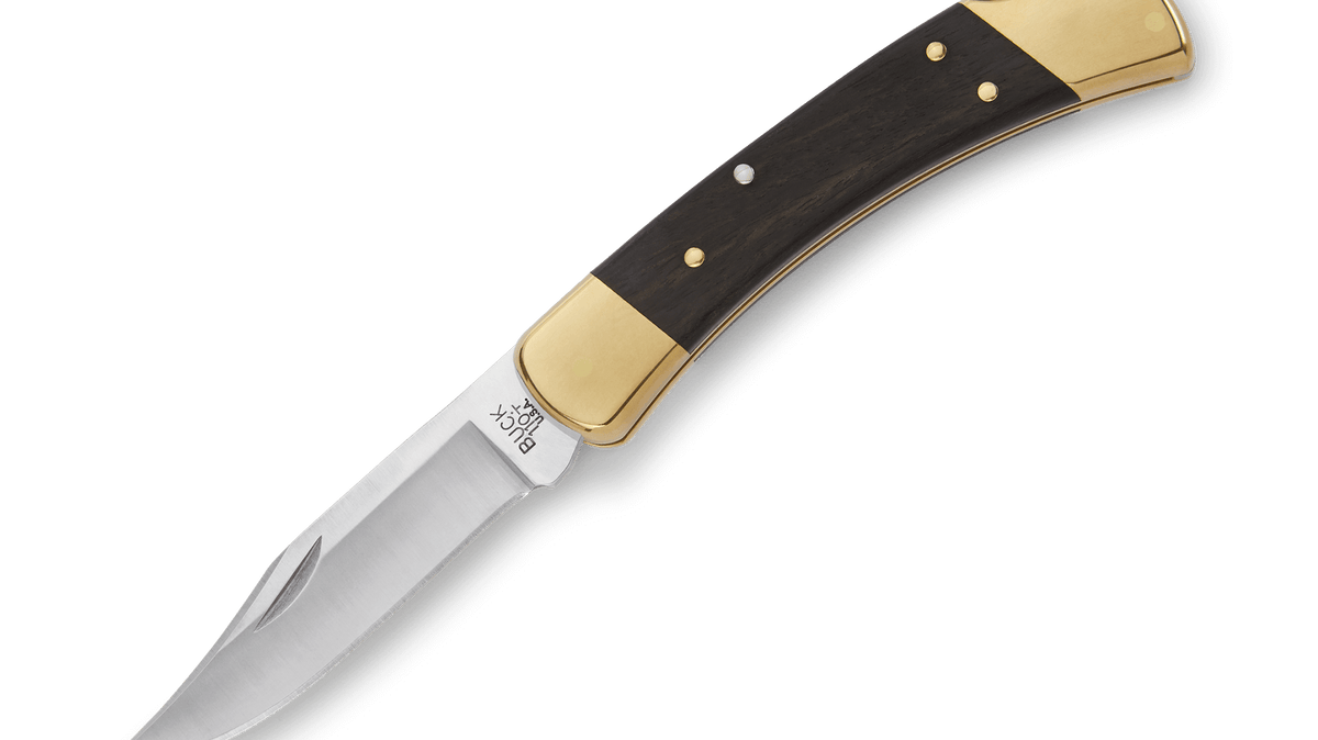 Buck 110 Folding Hunter
