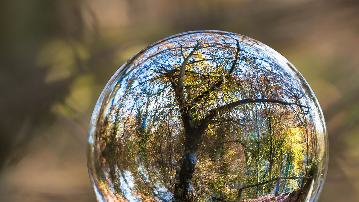 Ten Easy Habits to Help Save the Planet