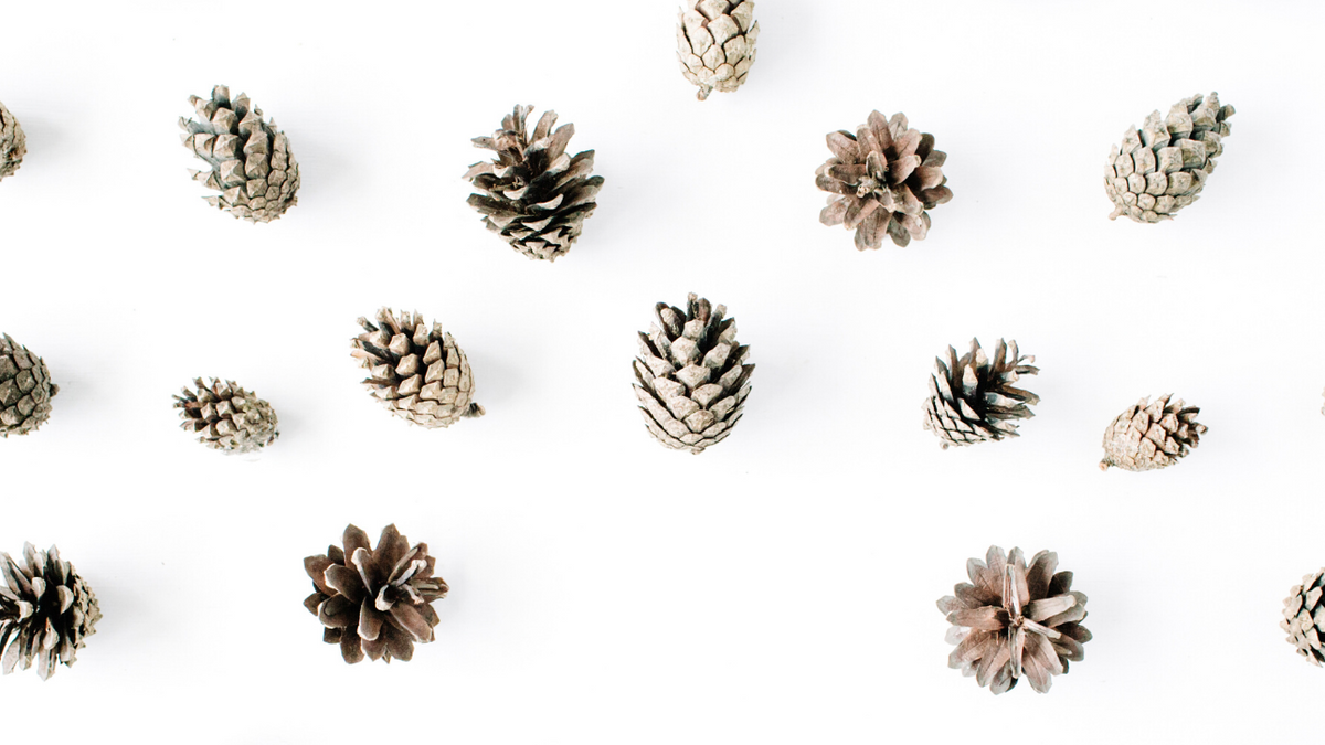 25 Sustainable Home Decor Gifts that Last