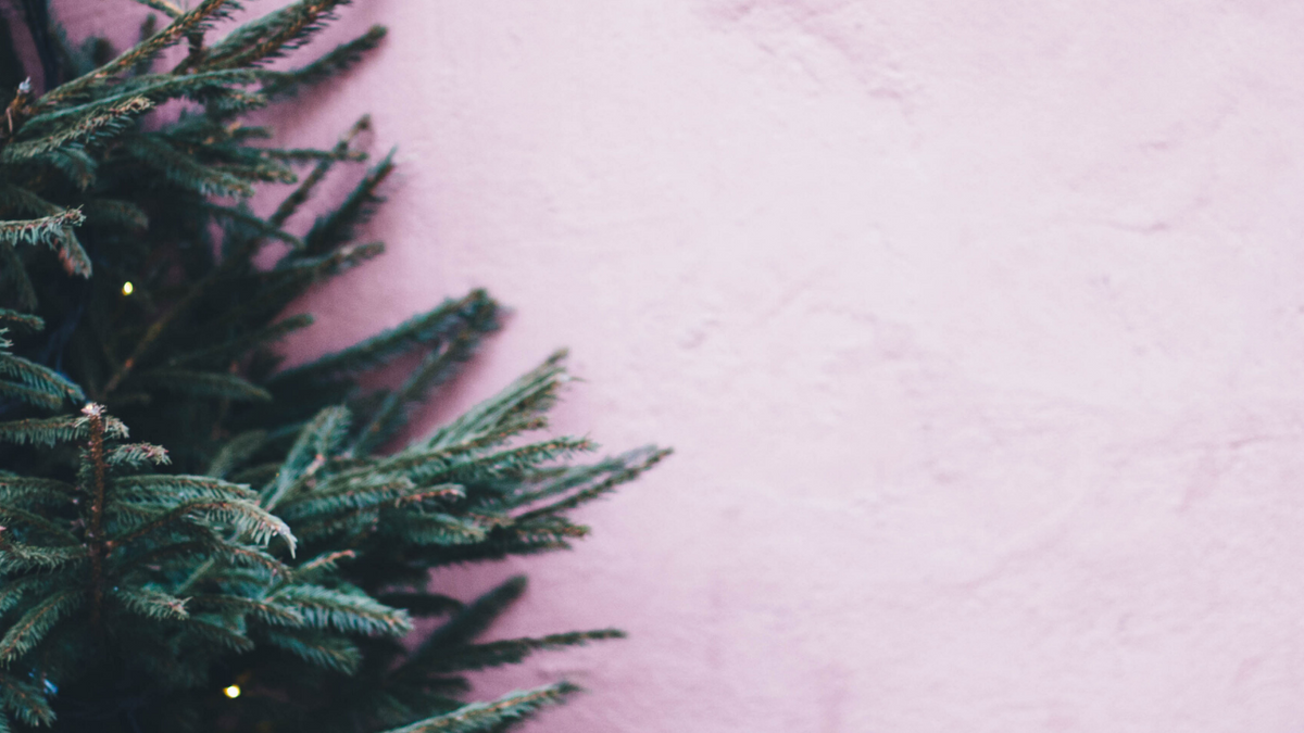 Lily’s guide to Christmas gifting