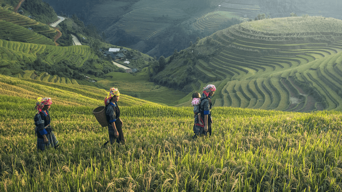 Is Fairtrade, the most important ethical standard, under threat?