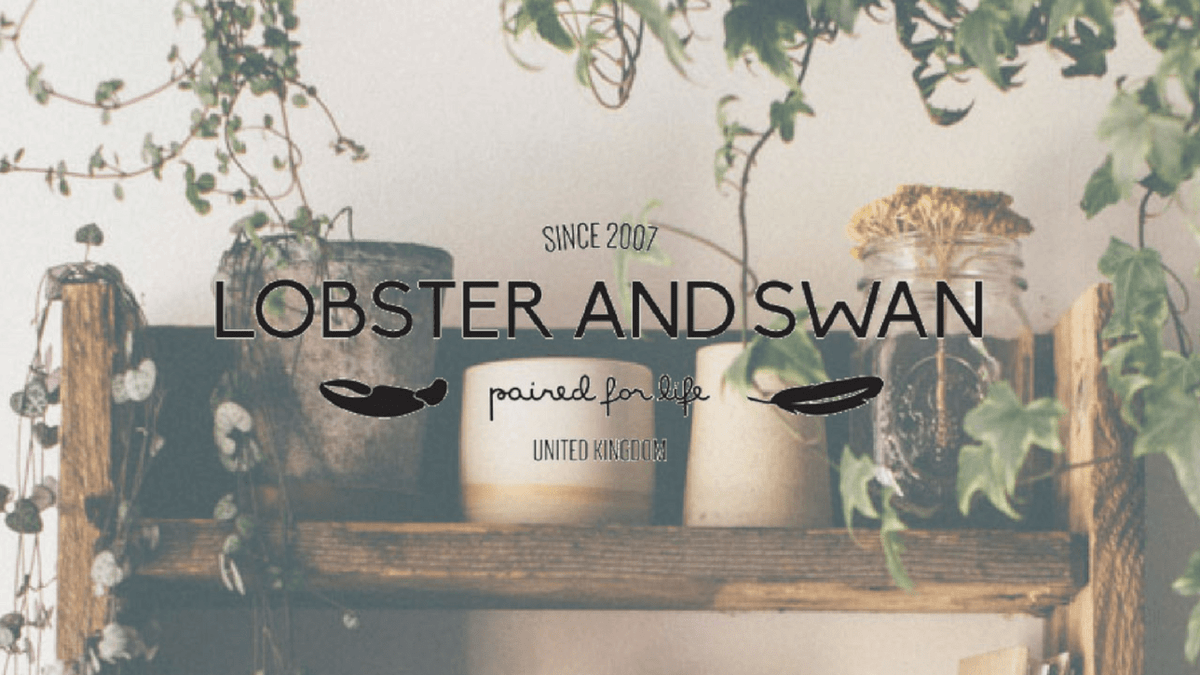 Blogger Spotlight: Lobster & Swan