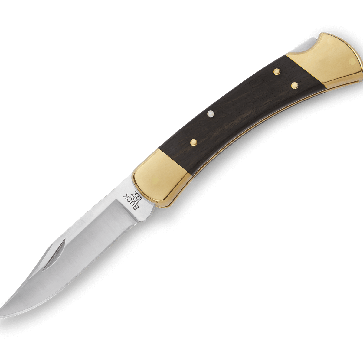 Buck 110 Folding Hunter