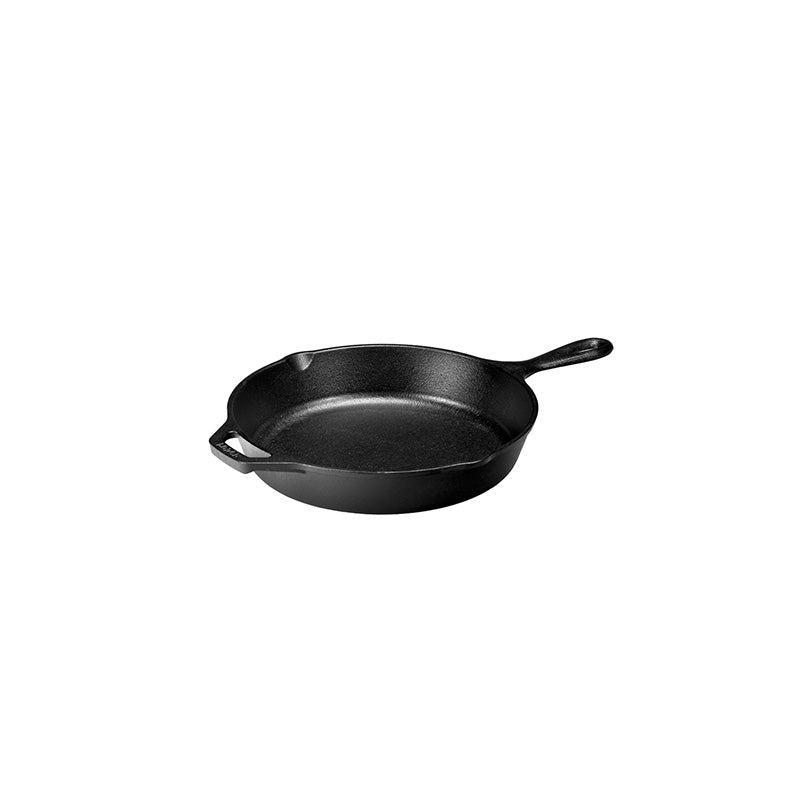Lodge 10.25 inch cast iron skillet
