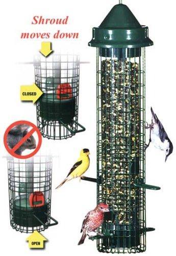 Squirrel Buster Classic Bird Feeder
