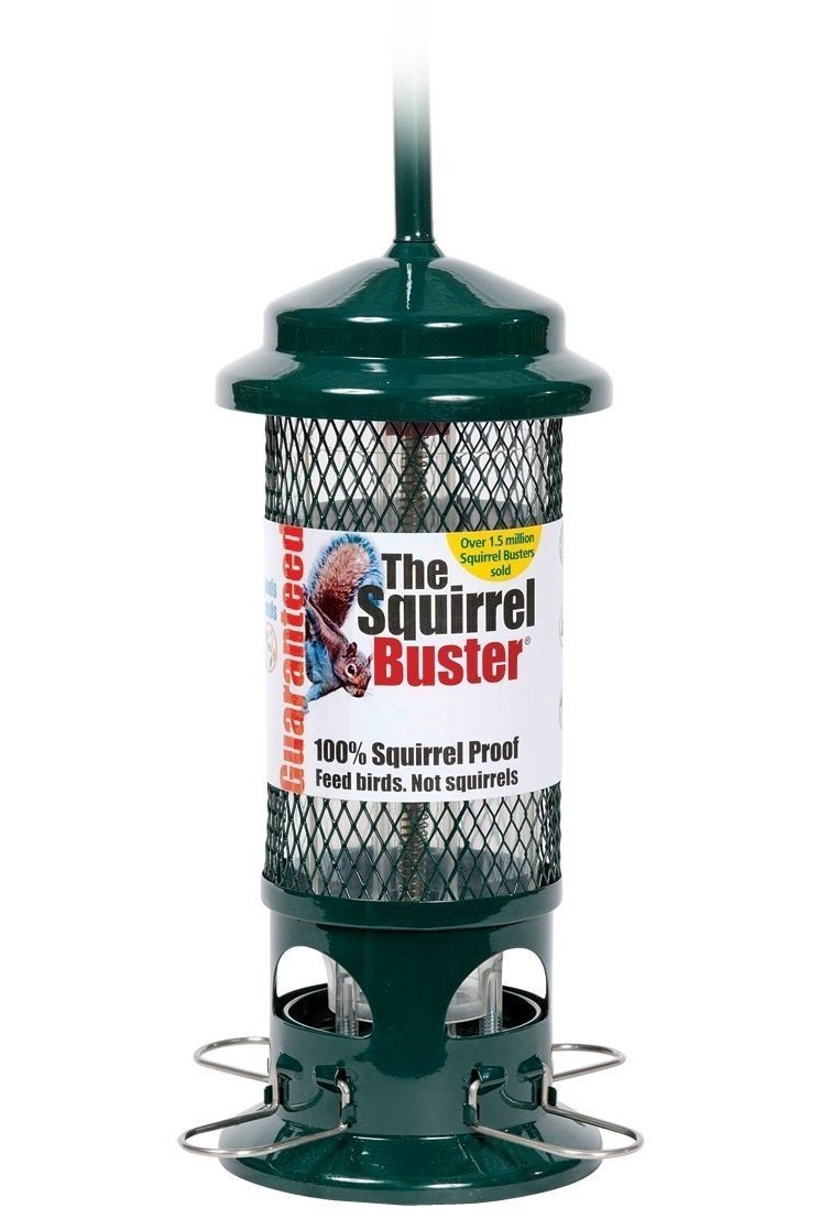 Squirrel Buster Standard Bird Feeder