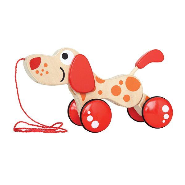 Walk-A-Long Puppy