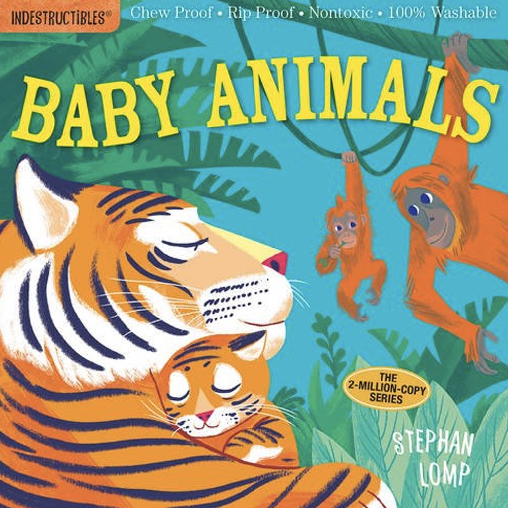 Baby Animals