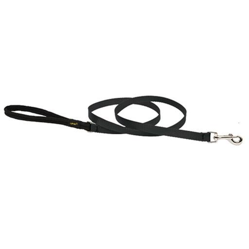 Basics Padded Handle Leash, Medium Dog