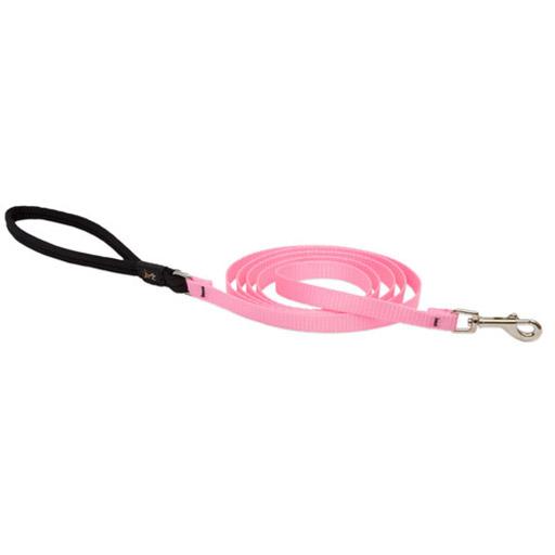 Basics Padded Handle Leash, Medium Dog