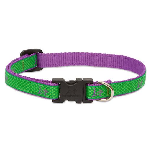 Club Adjustable Collar, Medium Dog