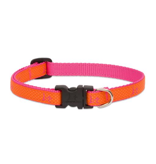 Club Adjustable Collar, Medium Dog
