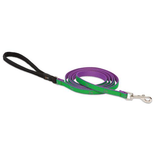 Club Padded Handle Leash, Medium Dog