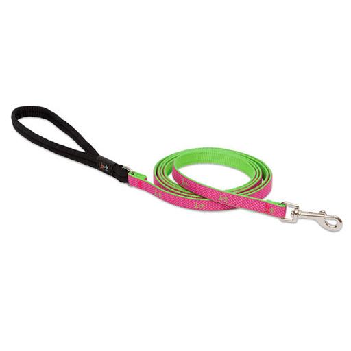 Club Padded Handle Leash, Medium Dog