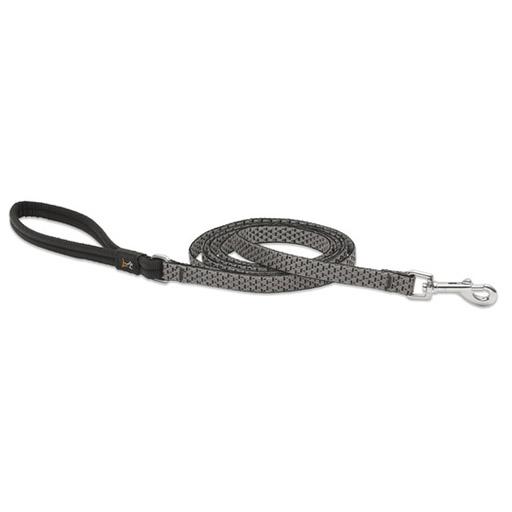 Eco Padded Handle Leash, Medium Dog