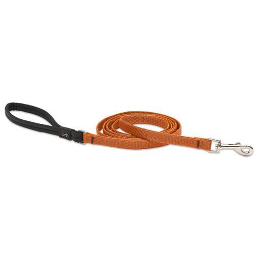 Eco Padded Handle Leash, Medium Dog