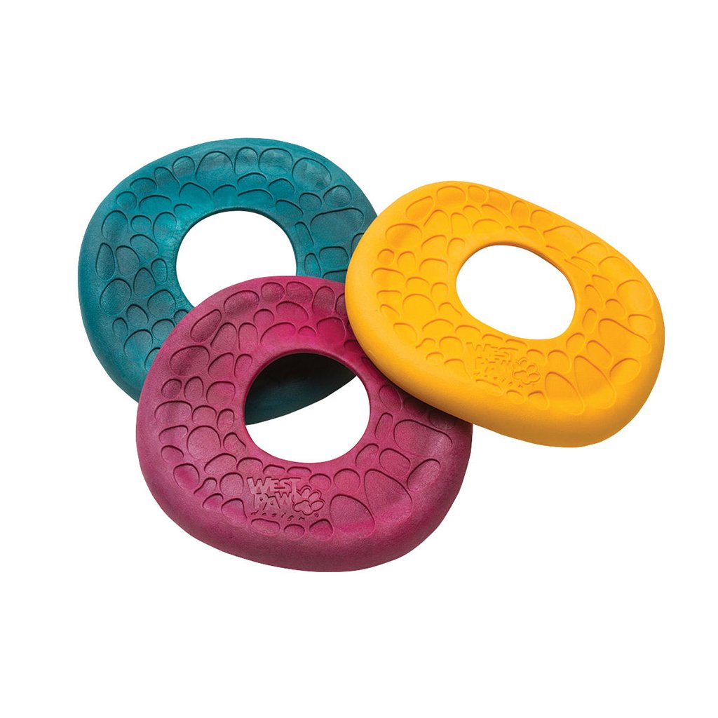 Dash Dog Frisbee