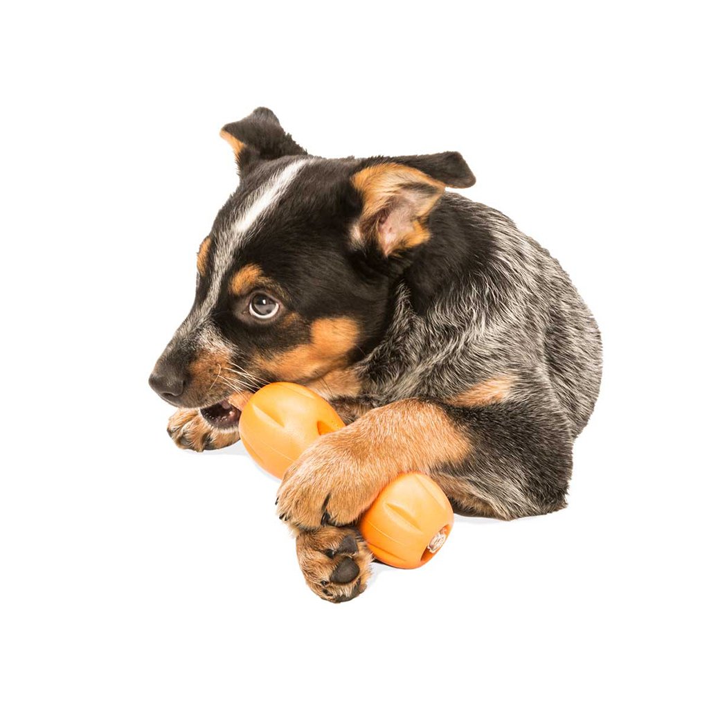 Qwizl Treat Toy