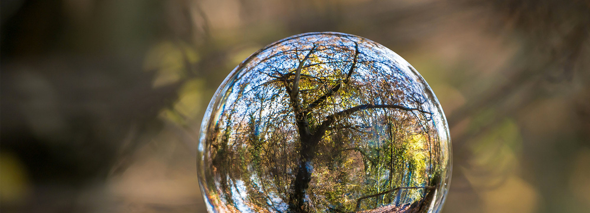 Ten Easy Habits to Help Save the Planet