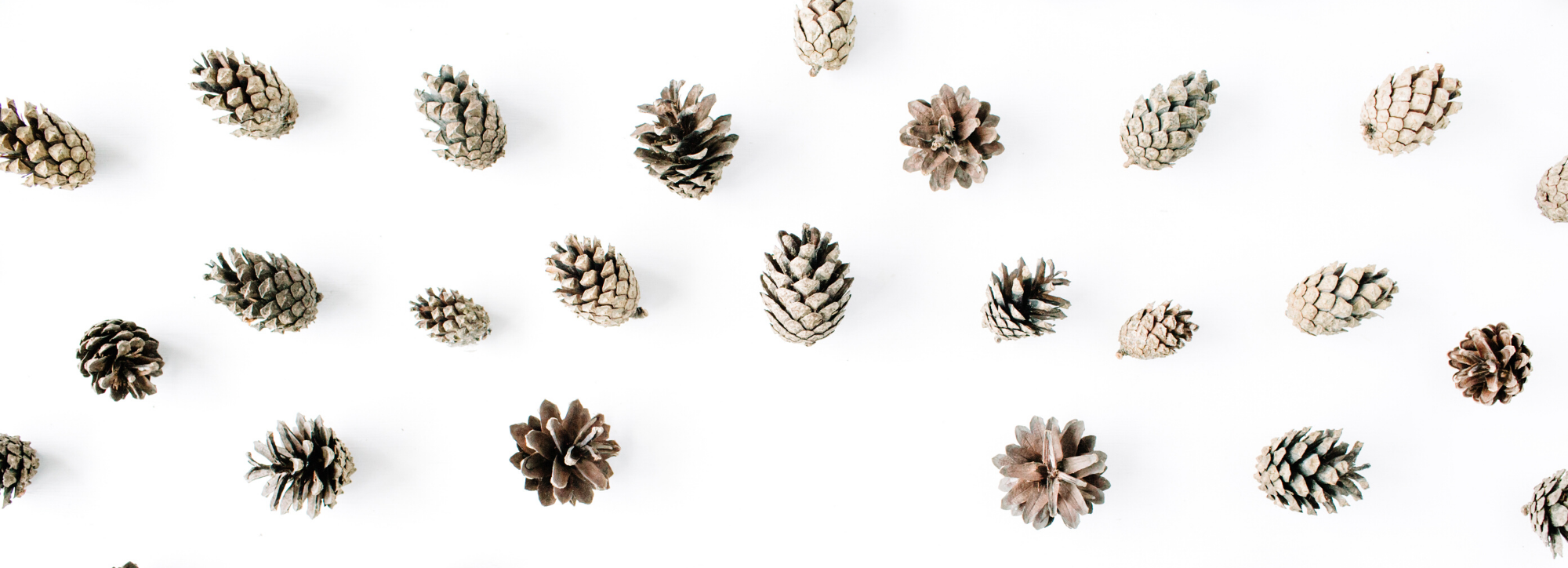 25 Sustainable Home Decor Gifts that Last