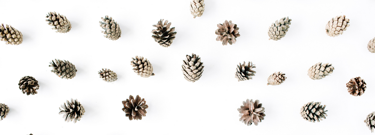 25 Sustainable Home Decor Gifts that Last