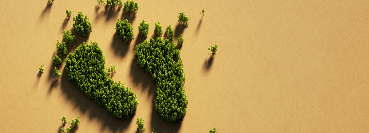 How buying once can shrink your carbon footprint