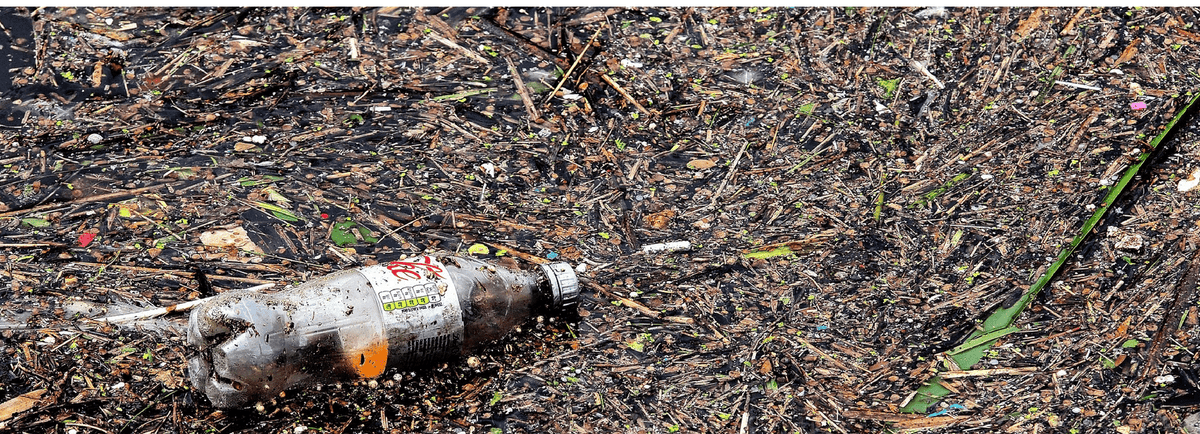 Purge the Plastic: The Detriment of Food Packaging & How to Shop More Sustainably