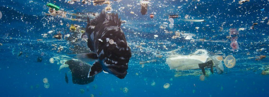 Could Blue Planet II turn the tide on plastic waste?