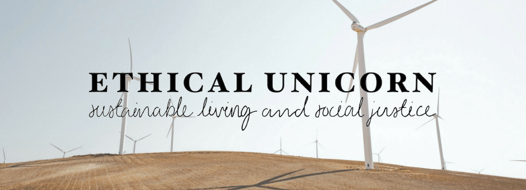 Blogger Spotlight: Ethical Unicorn