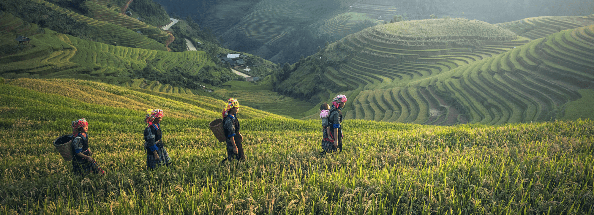 Is Fairtrade, the most important ethical standard, under threat?