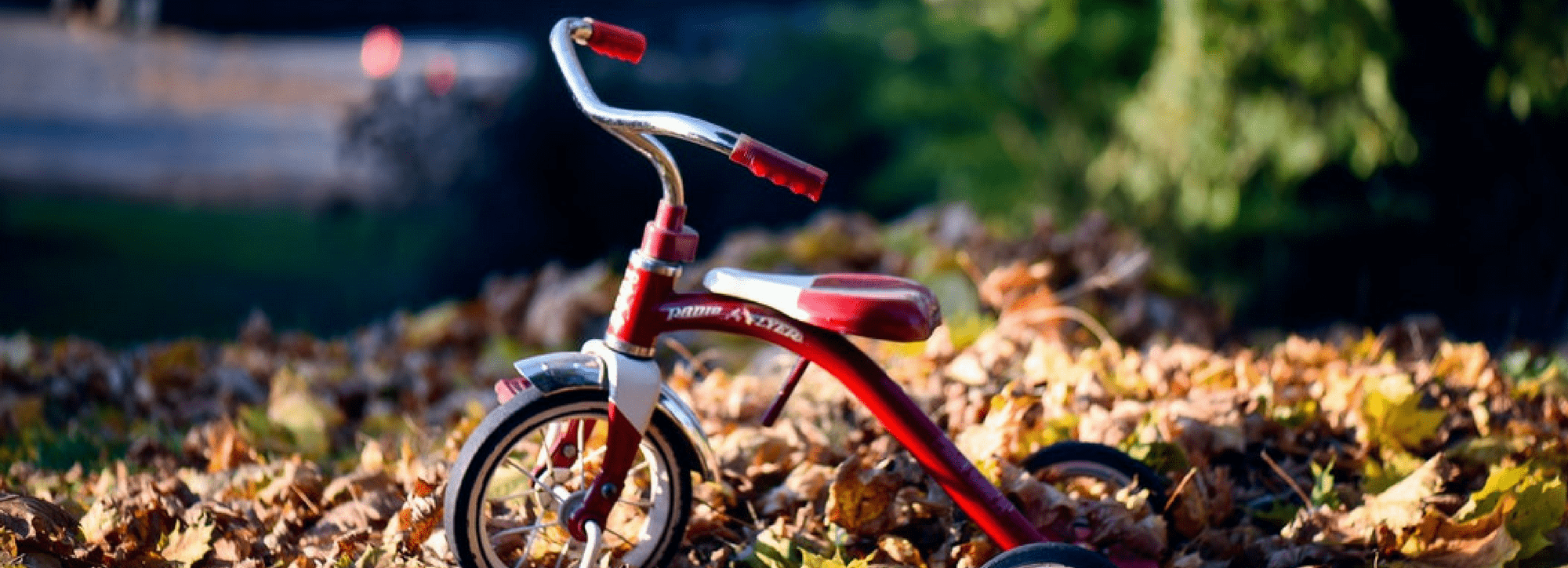 Hunting for heirloom quality toys? Explore our top five new finds