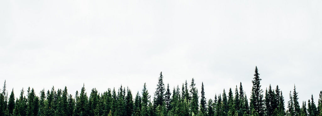 The Green Friday Friends Edit