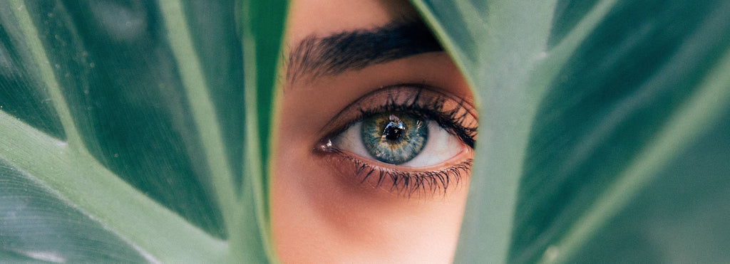 The Best in Ethical Beauty