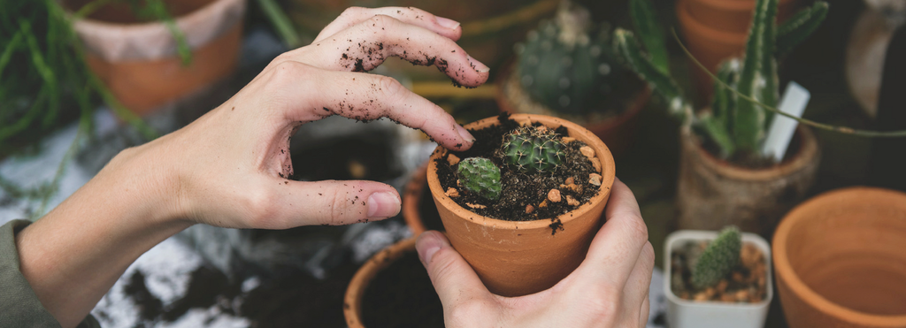 The Garden Essentials Edit