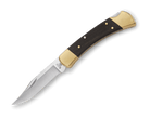 Buck 110 Folding Hunter