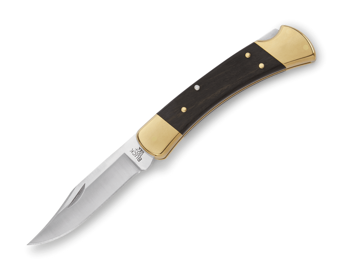 Buck 110 Folding Hunter