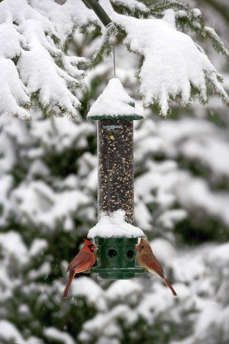 Squirrel Buster Plus High Capacity Birdfeeder