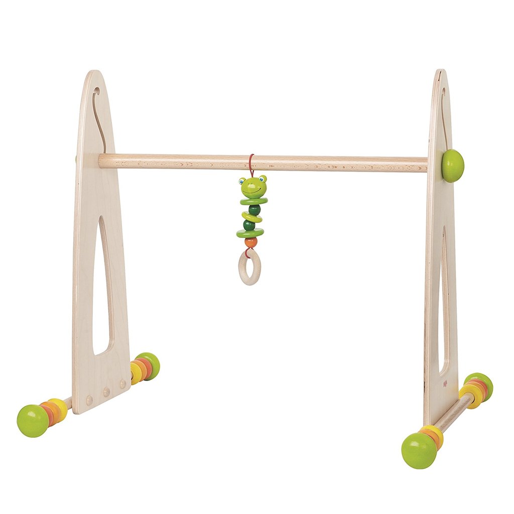 Color Fun Gym