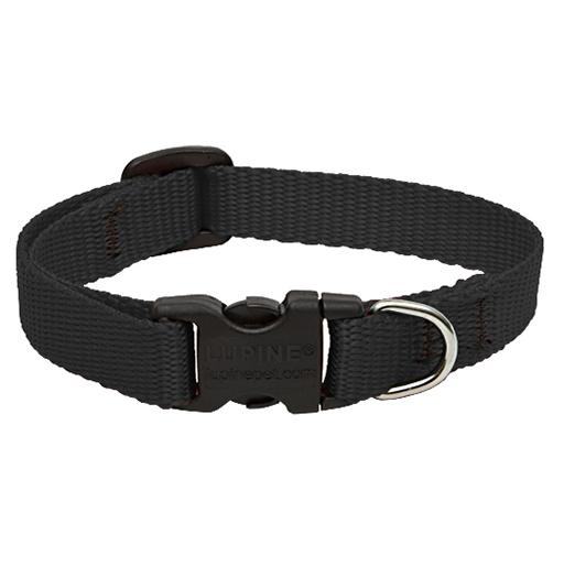 Basics Adjustable Collar, Medium Dog