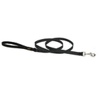 Basics Padded Handle Leash, Medium Dog