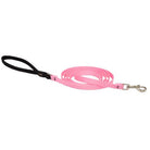Basics Padded Handle Leash, Cat