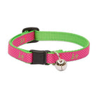 Club Safety Collar with Bell, Cat