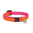 Club Safety Collar with Bell, Cat