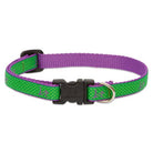 Club Adjustable Collar, Medium Dog