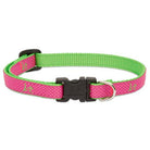Club Adjustable Collar, Medium Dog