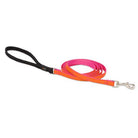 Club Padded Handle Leash, Medium Dog