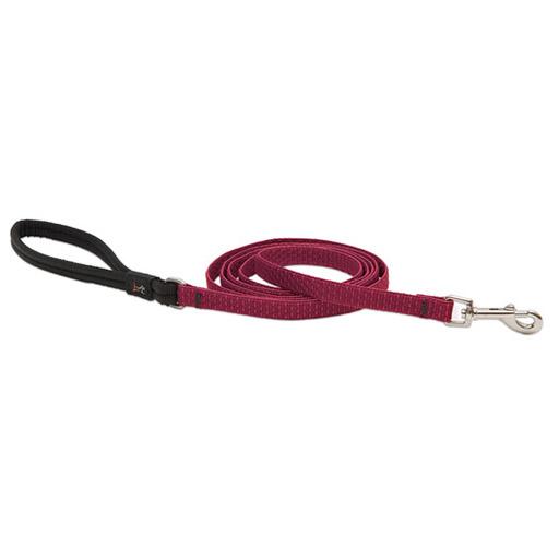 Eco Padded Handle Leash, Medium Dog