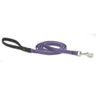 Eco Padded Handle Leash, Medium Dog