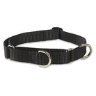 Basics Martingale Collar, Medium Dog