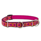 Originals Martingale Collar, Medium Dog